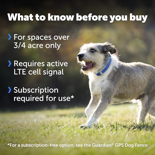 GPS Dog Collar with App, Waterproof Rechargeable (Blue, Grey) D19535