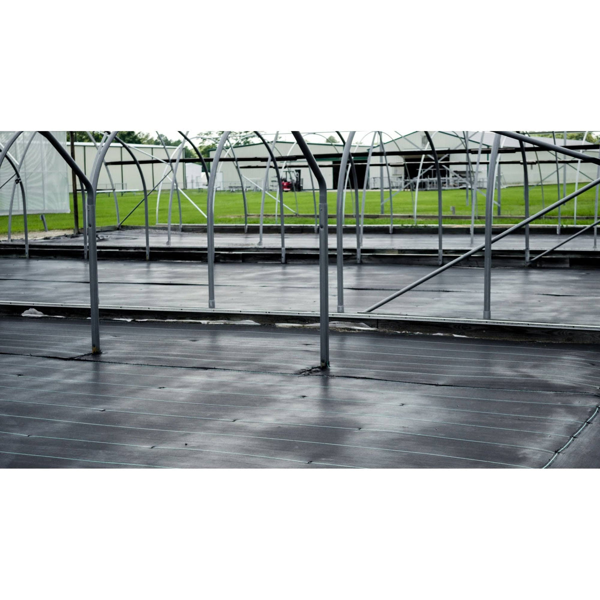 4ft. All Weather Ground Cover Q514685