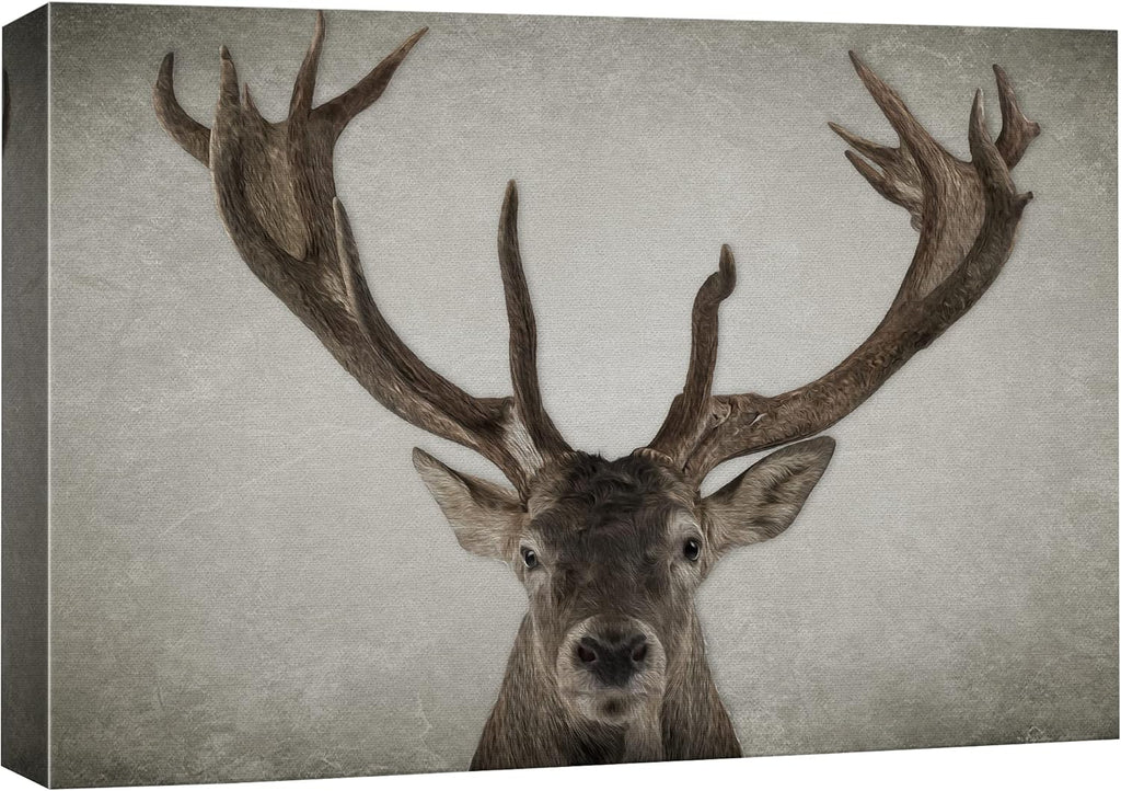 Canvas Print Wall Art Ram Portrait on Graphite Background U799