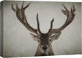 Canvas Print Wall Art Ram Portrait on Graphite Background U799