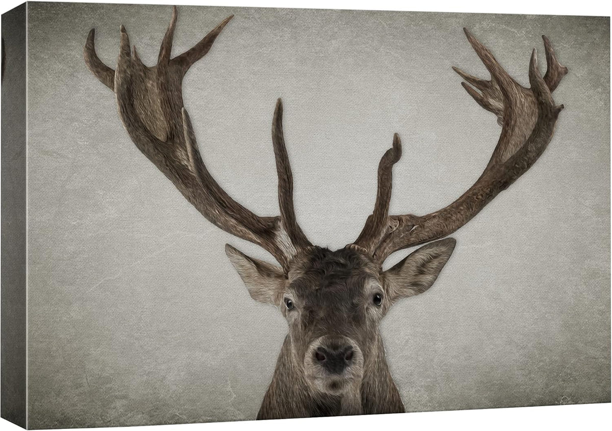 Canvas Print Wall Art Ram Portrait on Graphite Background U799