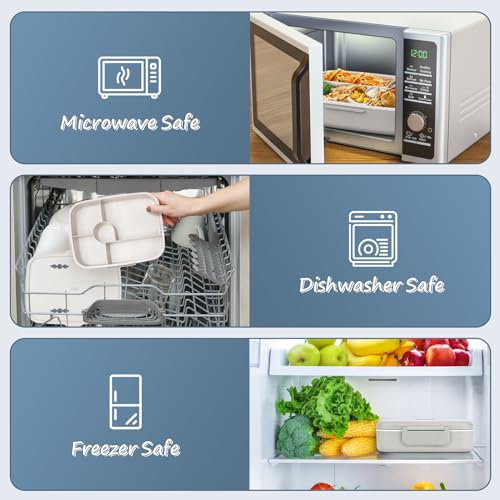 5 Compartment Insulated Bento Lunch Box U9027