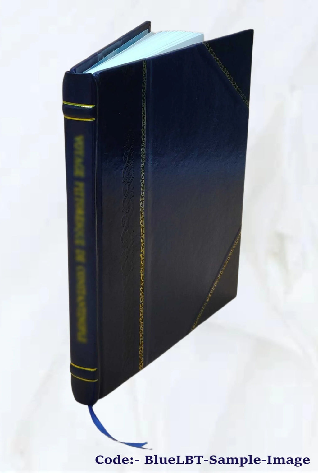 Kinetic modeling of petroleum formation in the Maracaibo Basin, final report, annex XII X6519