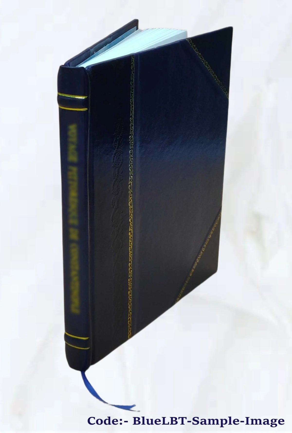 Kinetic modeling of petroleum formation in the Maracaibo Basin, final report, annex XII X6519