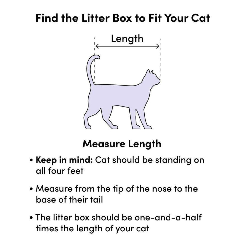 Cat Litter Pan B205682