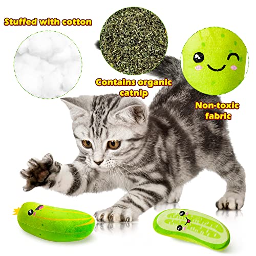 5Pcs Catnip Cat Toys Z98561