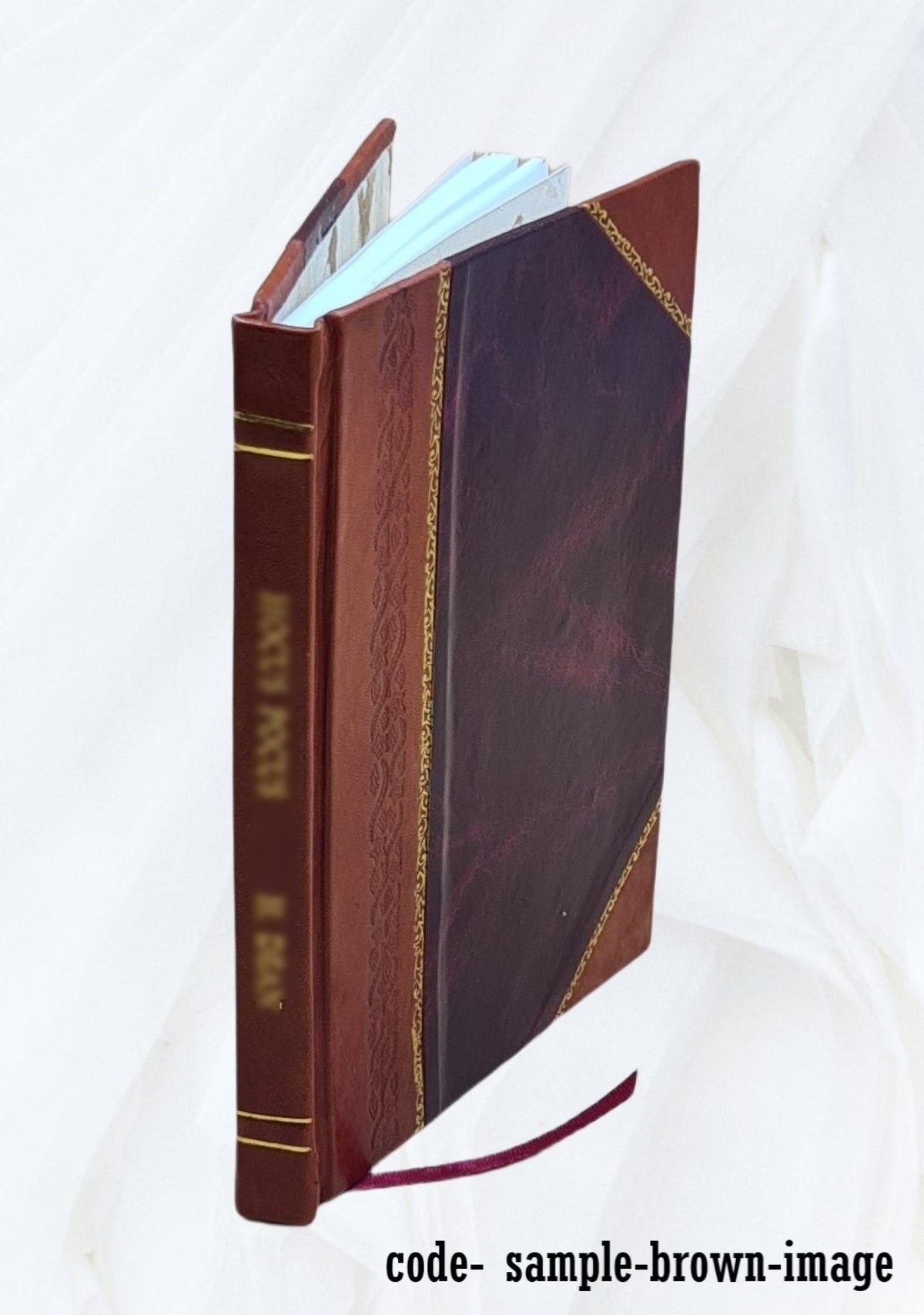 Leather Bound Book Z391862