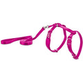 Harness H4970