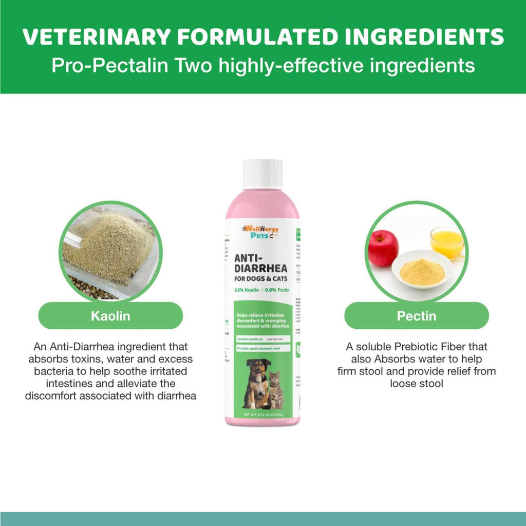 Anti-Diarrhea for Dogs & Cats S3338