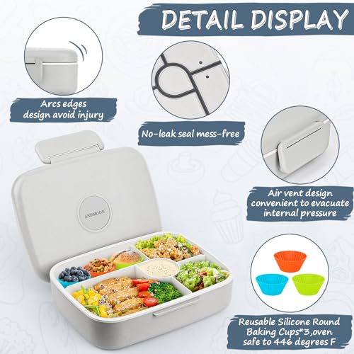 5 Compartment Insulated Bento Lunch Box U9027