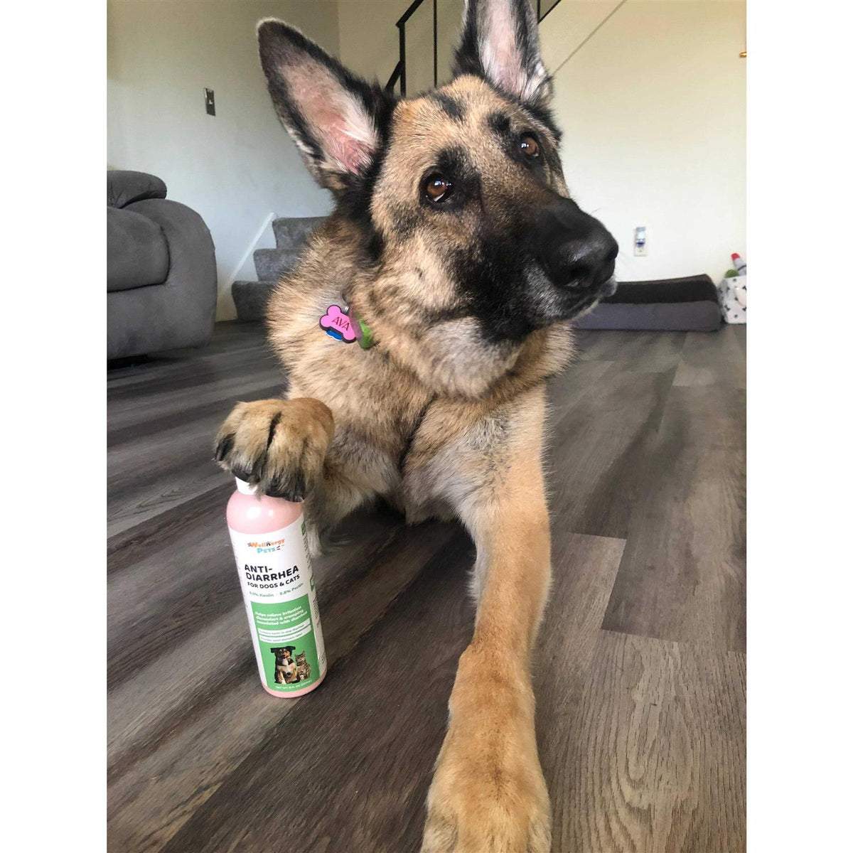 Anti-Diarrhea for Dogs & Cats S3338
