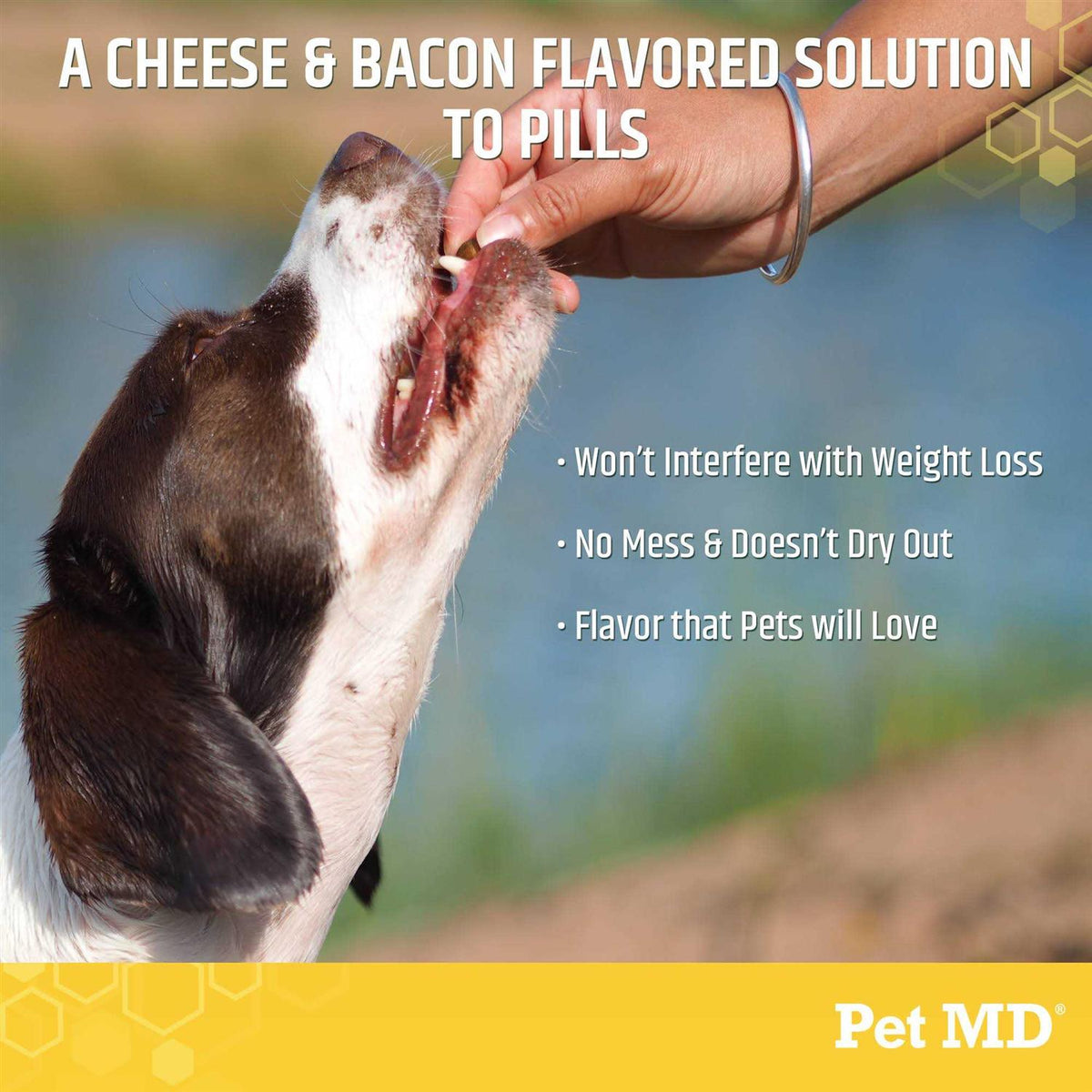 Cheese & Bacon Flavor Pill Paste for Dogs N43727