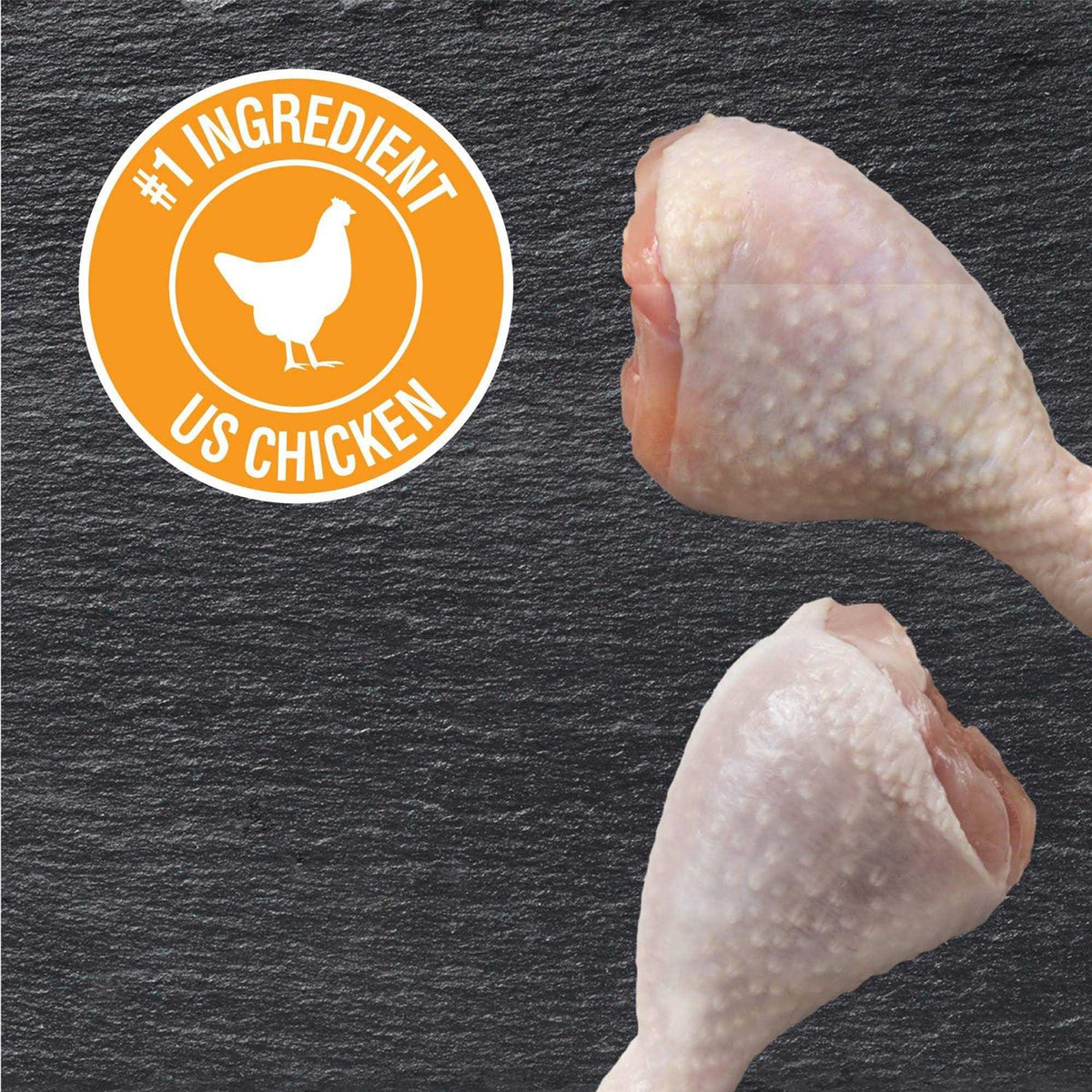 Rotisserie Chicken Flavor Wet Dog Food C70548