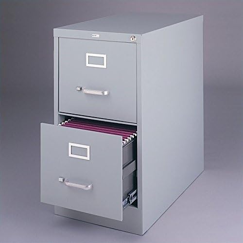 Light Gray 2-Drawer Vertical File Cabinet R1662