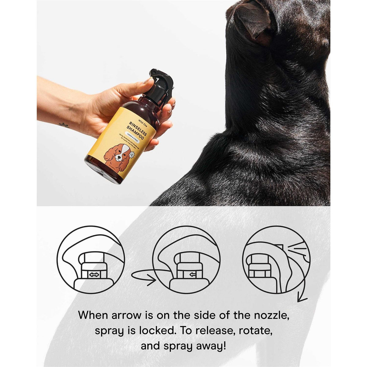 Rinseless Shampoo B259288