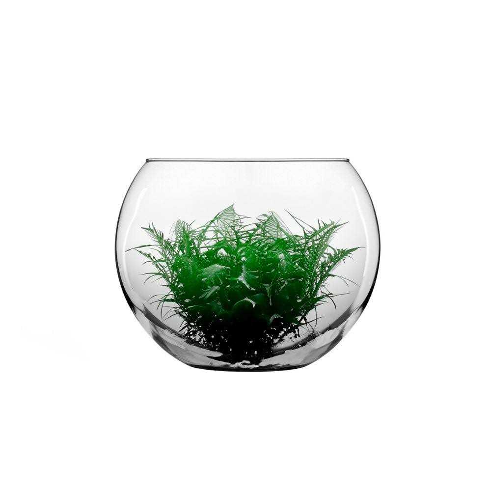 Glass Bubble Ball Bowl T6662