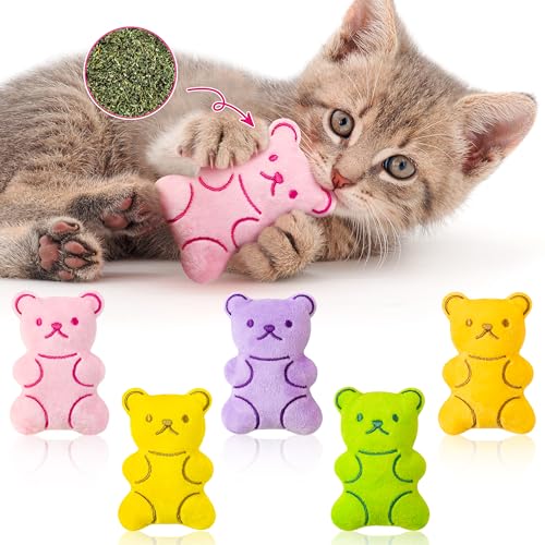 5Pcs Catnip Cat Toys Z98561