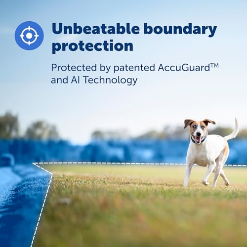 GPS Dog Collar with App, Waterproof Rechargeable (Blue, Grey) D19535