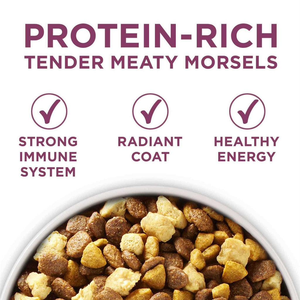 Dry Dog Food T74576