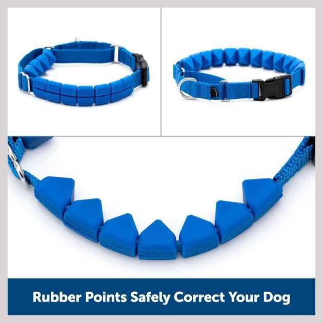 Soft Point Training Collar T3316