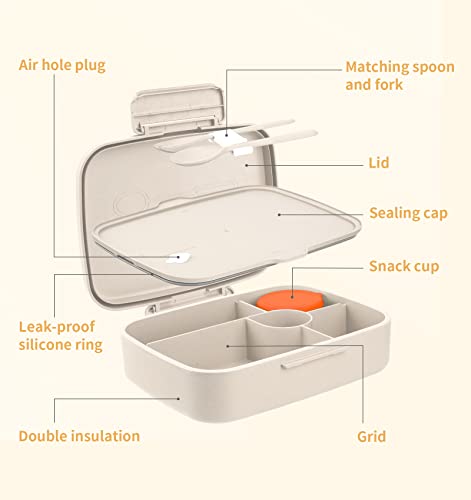 5 Compartment Insulated Bento Lunch Box U9027