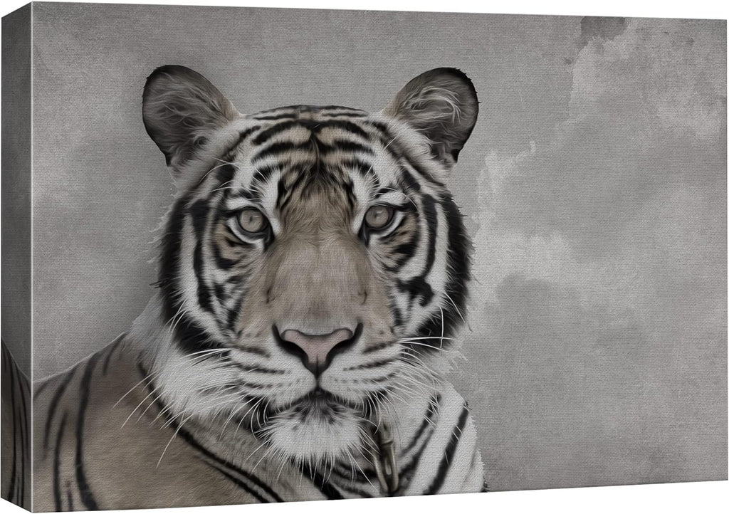 Canvas Print Wall Art Ram Portrait on Graphite Background U799