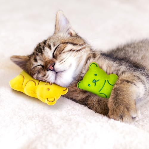 5Pcs Catnip Cat Toys Z98561