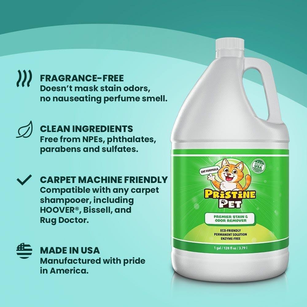 32 oz Spray Bottle 2-Pack Stain & Odor Remover R948706