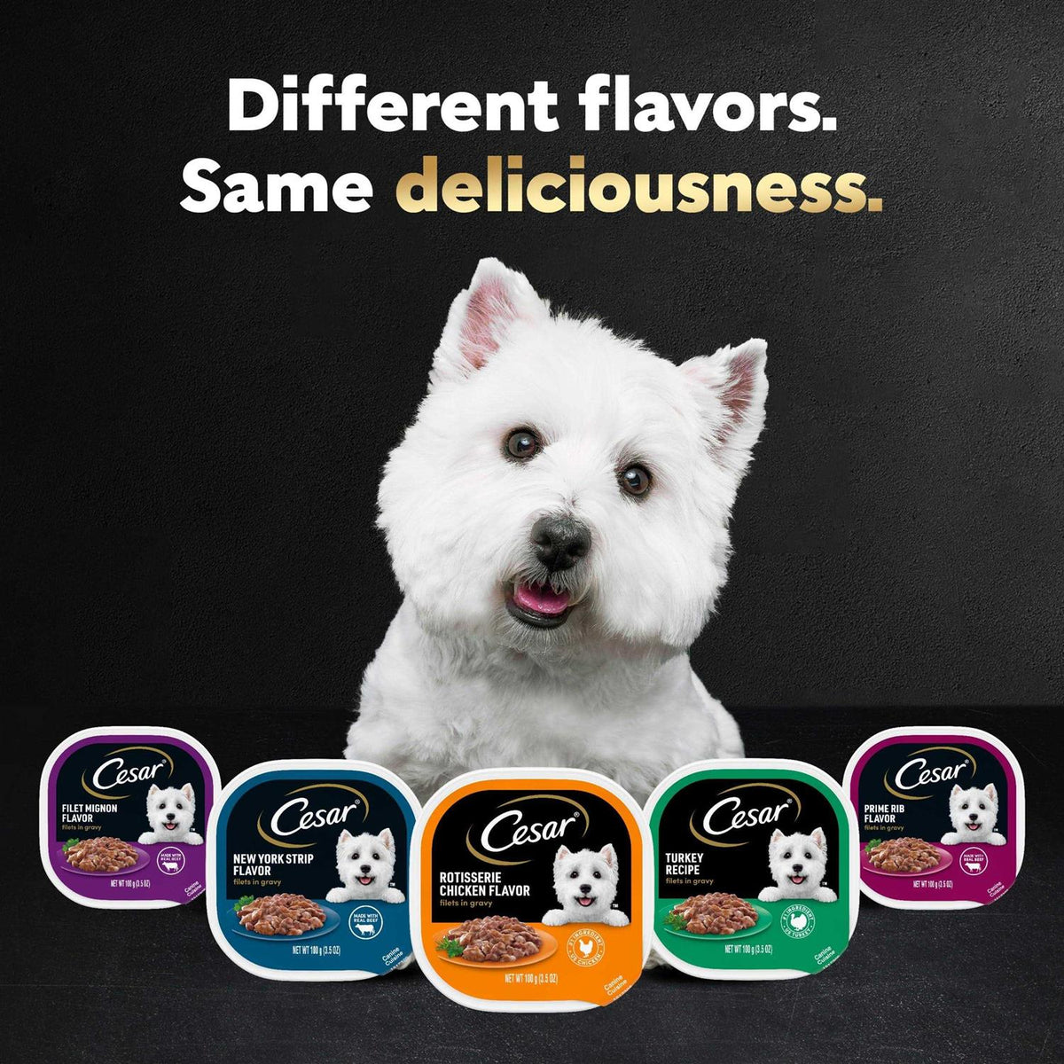 Rotisserie Chicken Flavor Wet Dog Food C70548