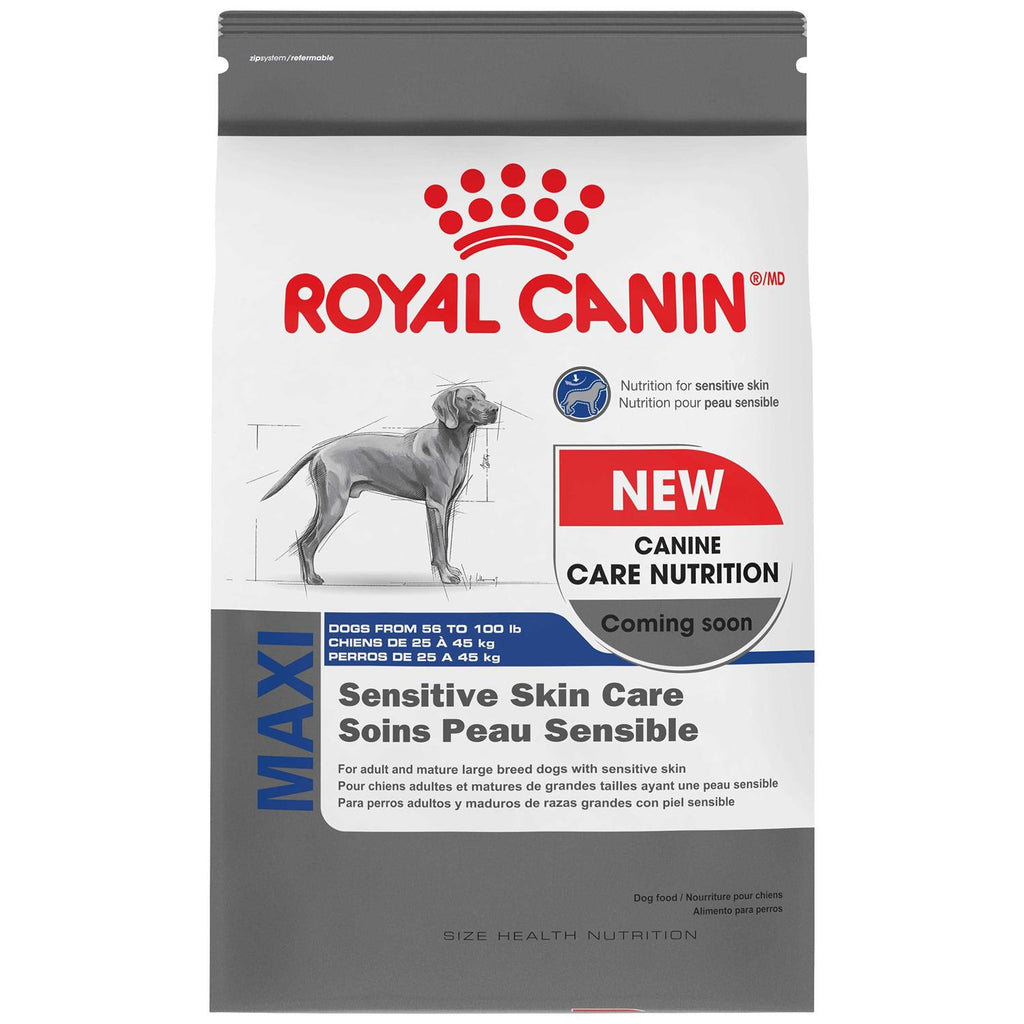 Large Breed Dry Dog Food C326837