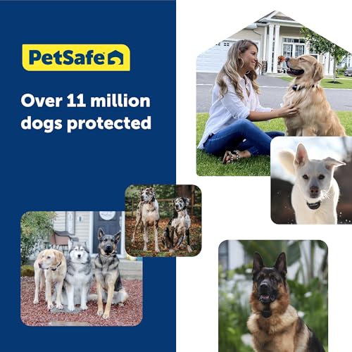 GPS Dog Collar with App, Waterproof Rechargeable (Blue, Grey) D19535