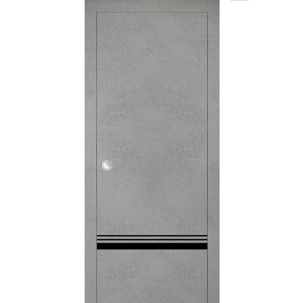 Sliding French Pocket Door with Frosted Glass P64598