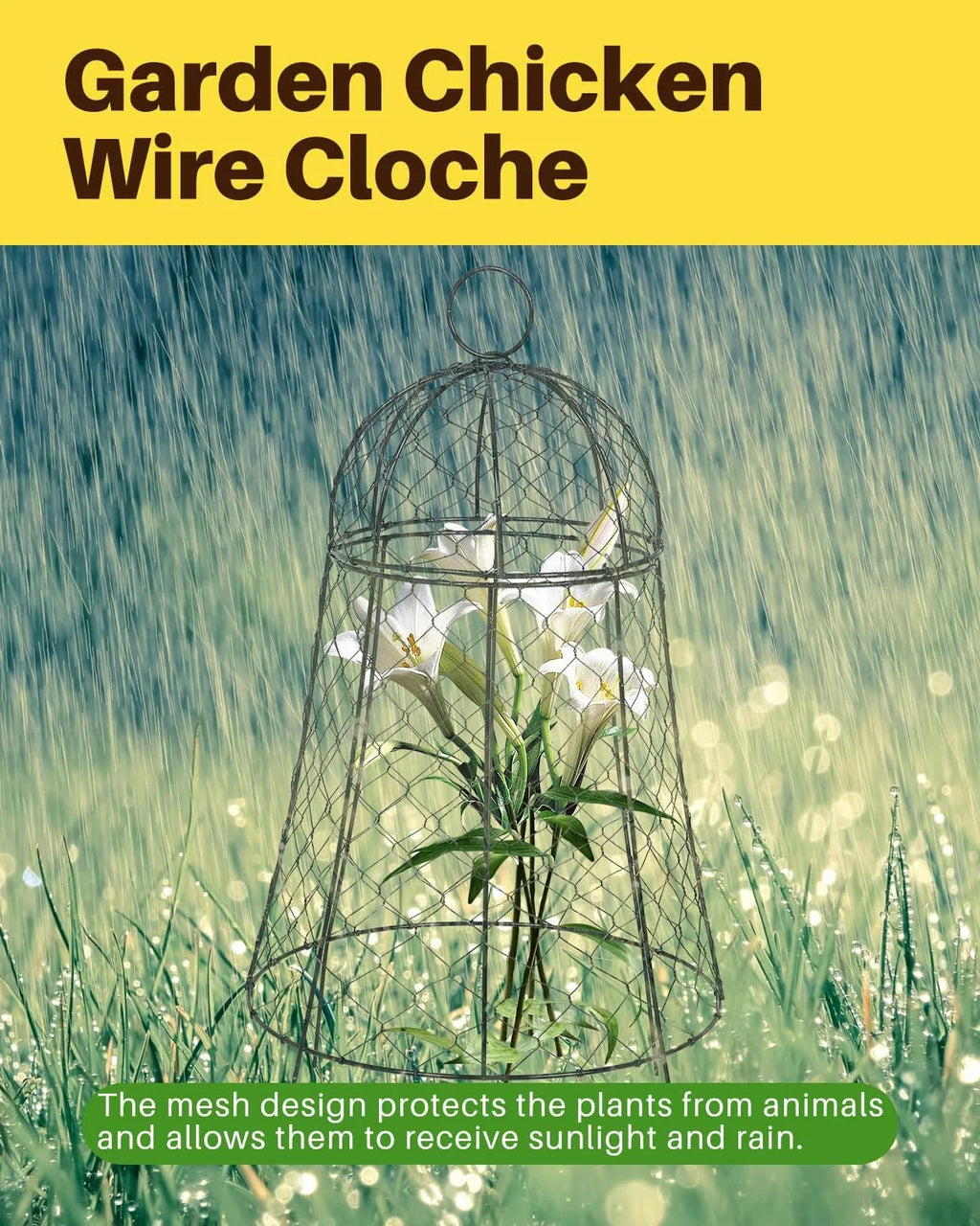 Chicken Wire Cloche 11.8''Dx22.8 H Black Metal 6 Pack E925395