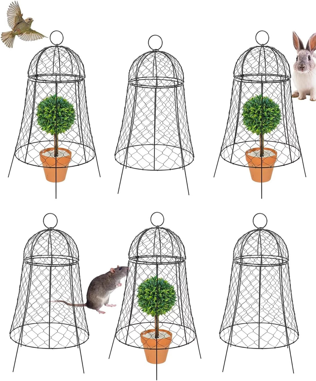 Chicken Wire Cloche 11.8''Dx22.8 H Black Metal 6 Pack E925395