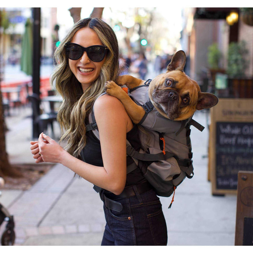 Dog Carrier A956