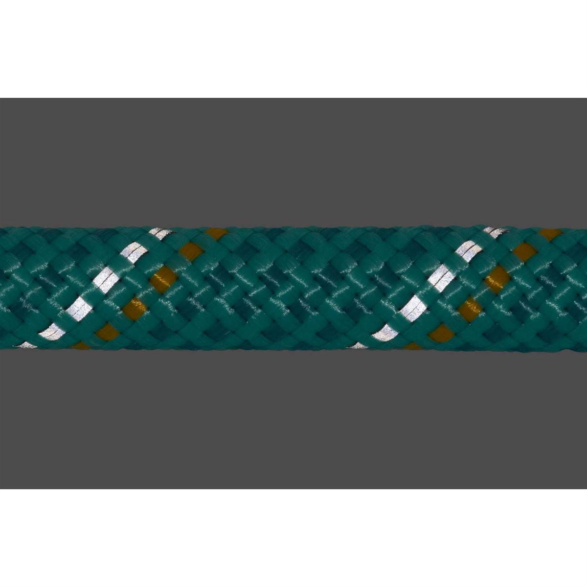 Leash T565201