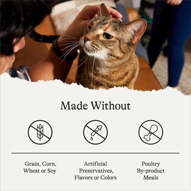 Canned Cat Food D799814
