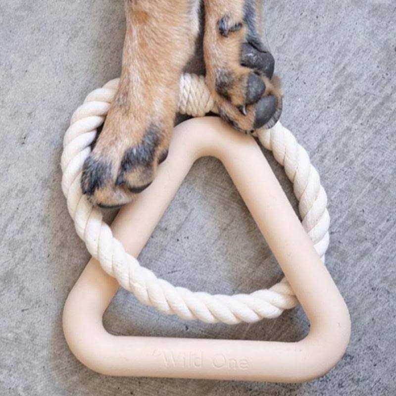 Triangle Tug Dog Toy D753153