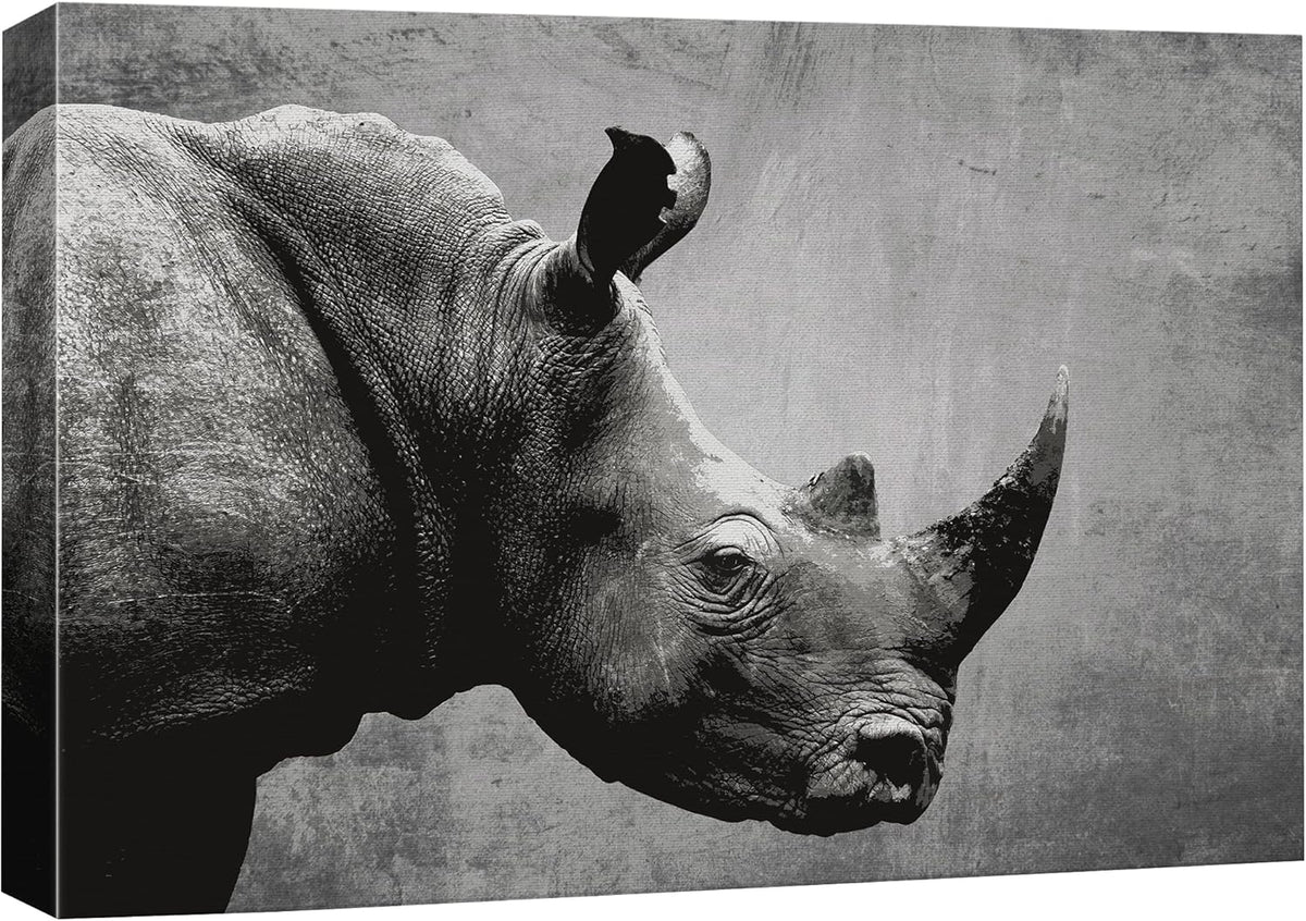 Canvas Print Wall Art Ram Portrait on Graphite Background U799