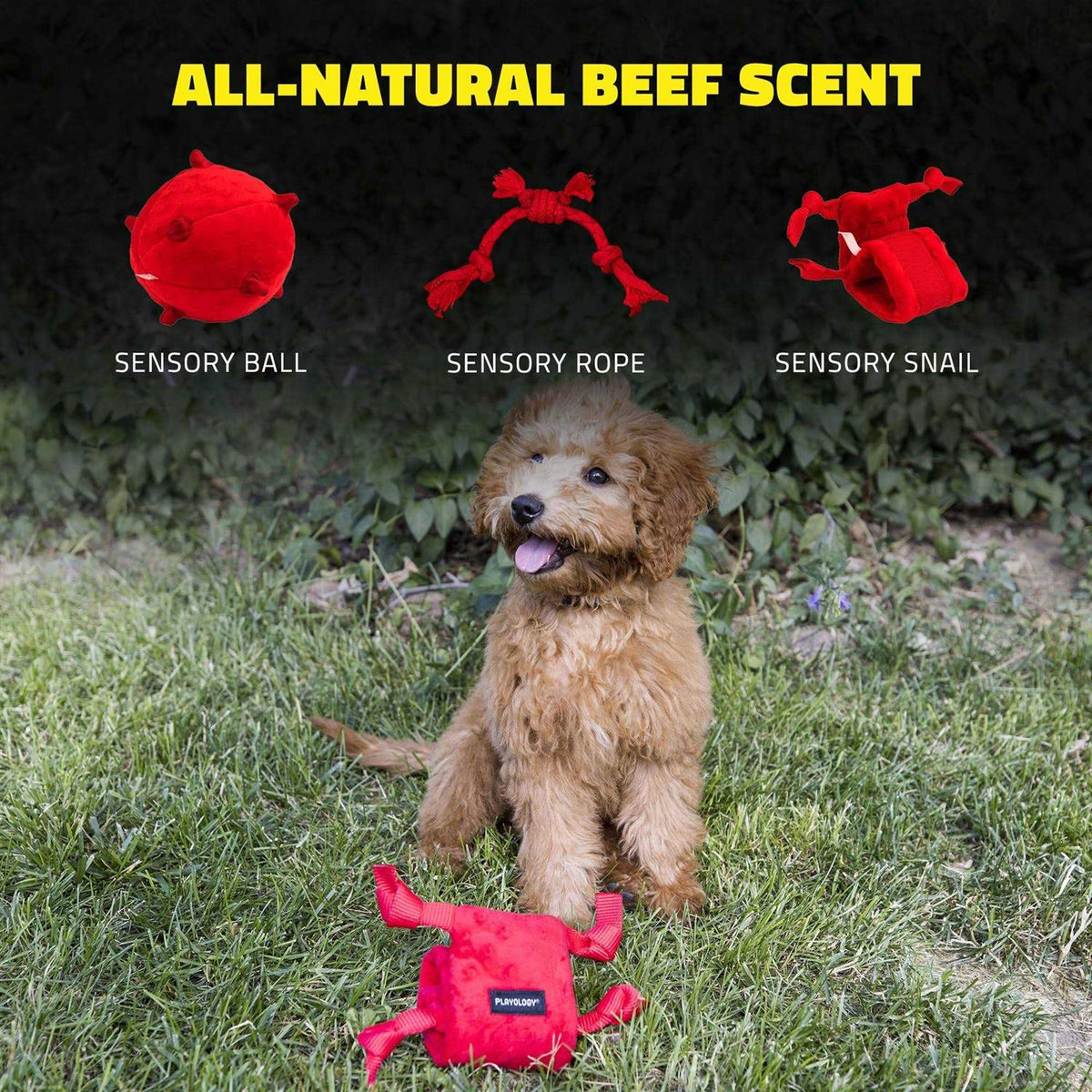 Puppy Dog Toy H372800
