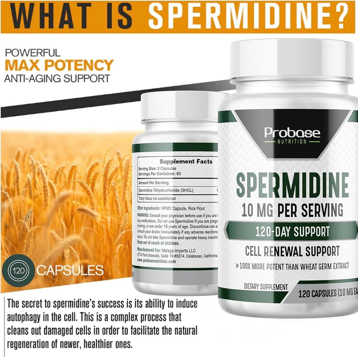 120 Capsules Spermidine Q661746