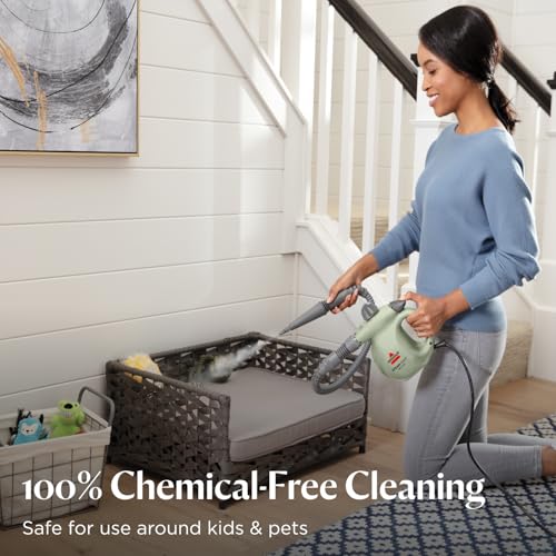 Handheld Pressurized Steamer with 10 Cleaning Tools W142963