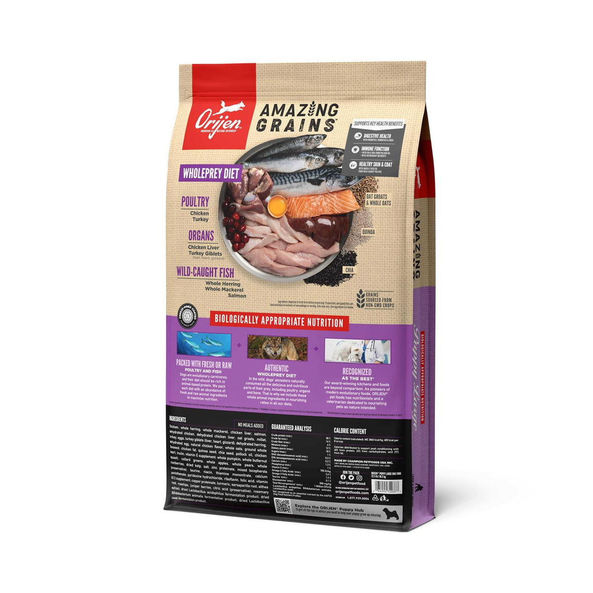 Large Breed Puppy Dry Dog Food G494425