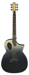 Acoustic-Electric Guitar Q43063