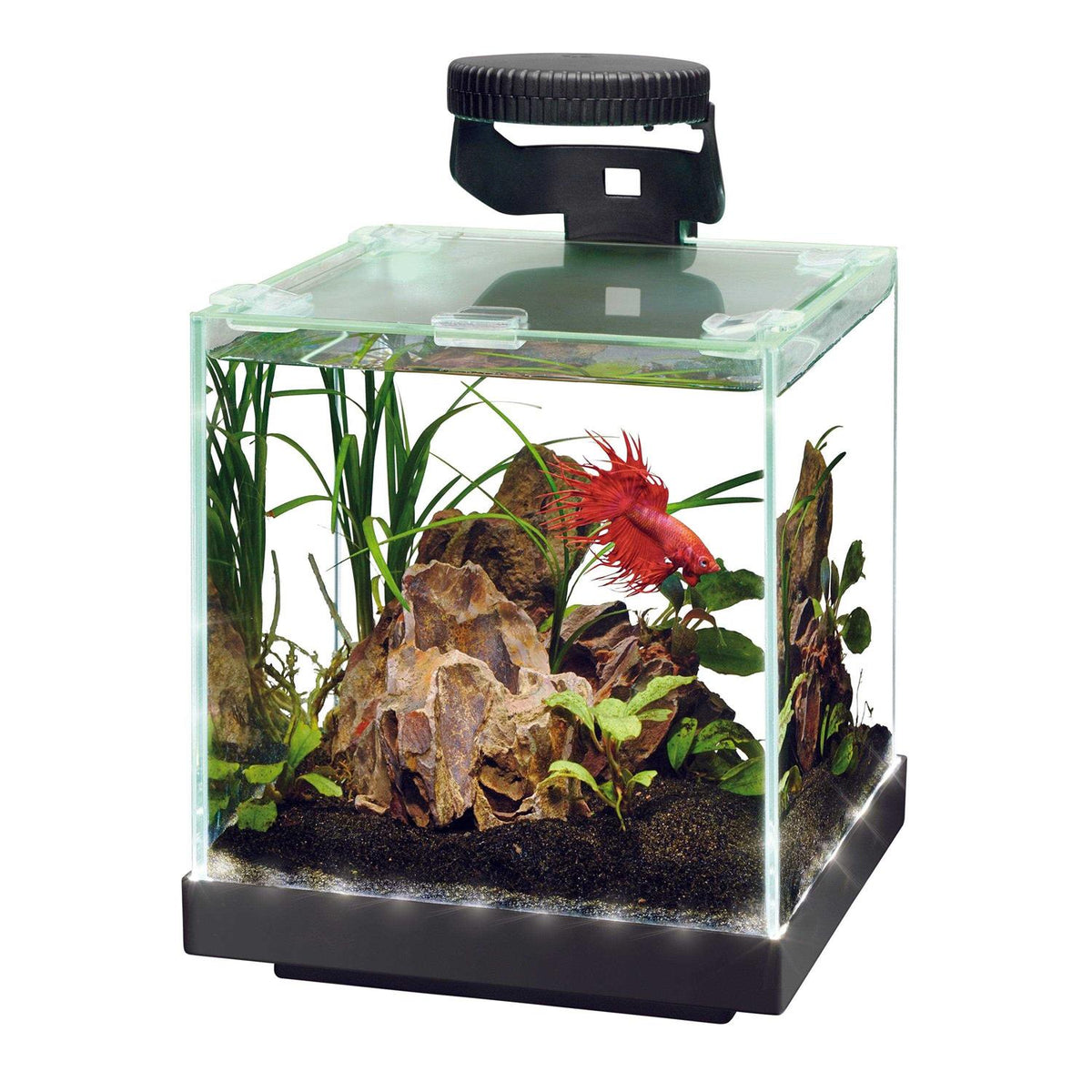Edgelit Cube Aquarium O7679