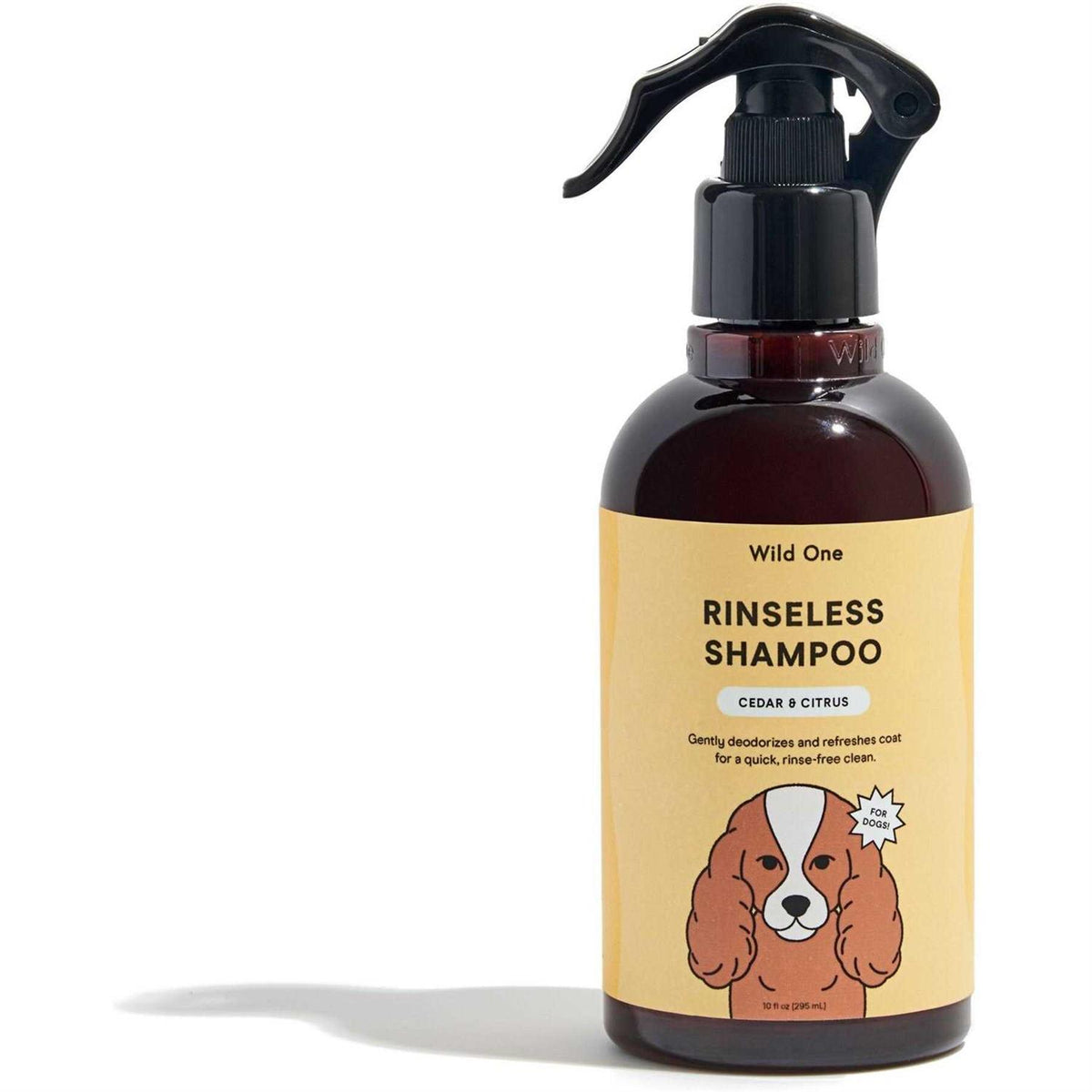 Rinseless Shampoo B259288