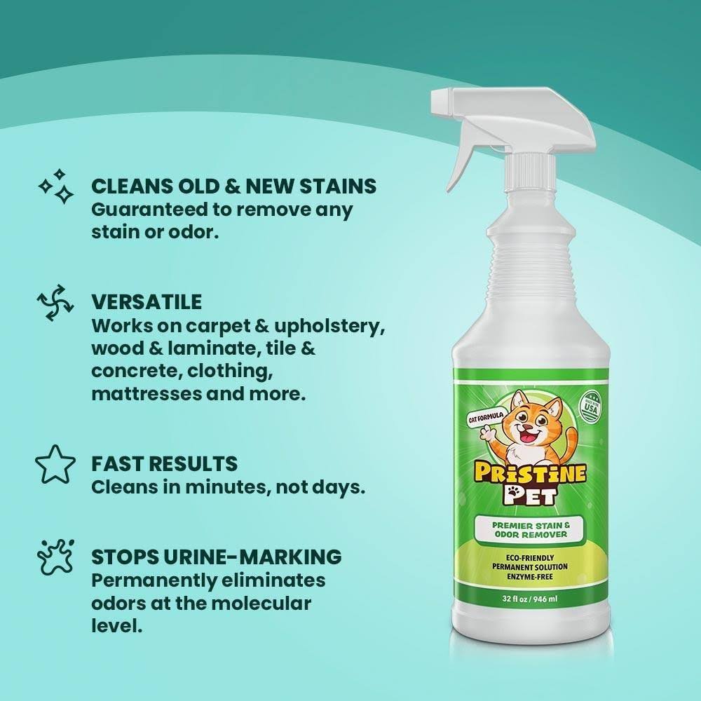 32 oz Spray Bottle 2-Pack Stain & Odor Remover R948706