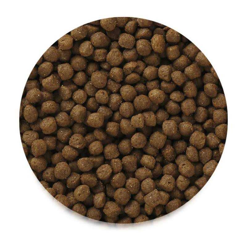 Premium High Energy Adult Mini Chunk Dry Dog Food A10583