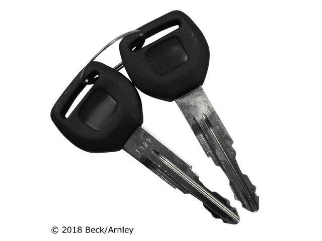 Ignition Lock Assembly W421