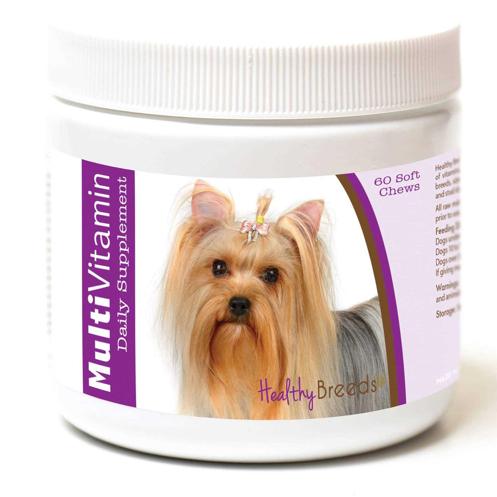 Terrier Multi-Vitamin Soft Chews K816587